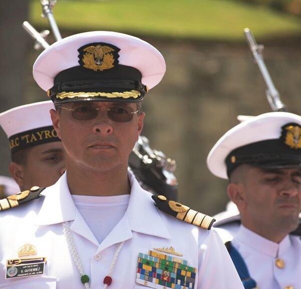 expert backlink services offered