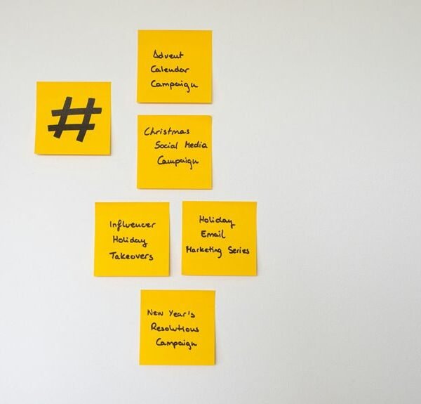 seo backlink campaign services